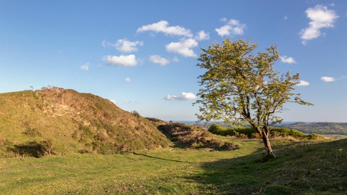 Western ramparts and view beyond at Pilsdon Pen in Dorset
